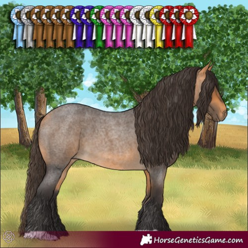 Horse Color:Buckskin Roan 