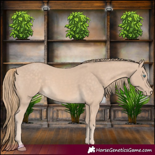 Horse Color:Perlino 