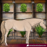 Horse Color:Perlino 