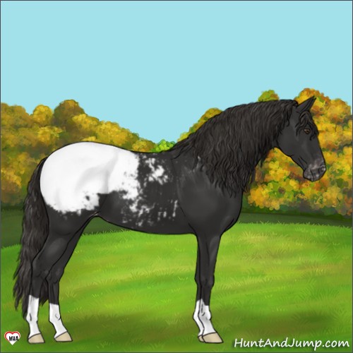 Horse Color:Liver Chestnut Snowcap 