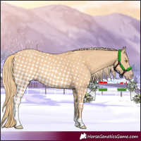 Horse Color:Gold Champagne Tobiano 