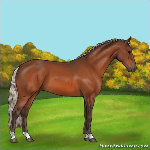 Horse Color:Silver Bay 