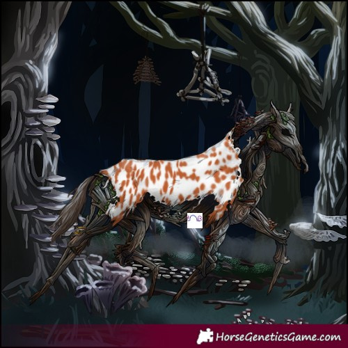 Horse Color:Bay Near Leopard 