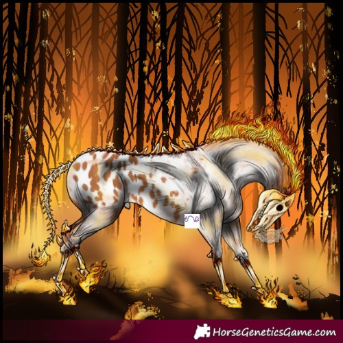 Horse Color:Chestnut Blanket 