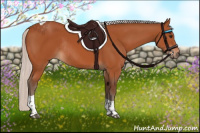 Horse Color:Silver Bay Tobiano Rabicano 