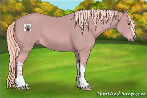Horse Color:Watercolor Palomino