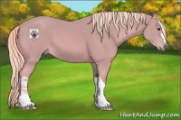 Horse Color:Watercolor Palomino