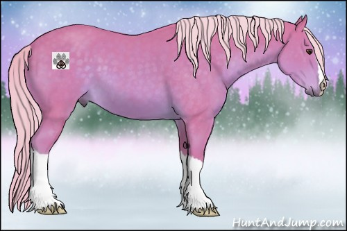 Horse Color:Watercolor Palomino 