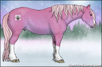 Horse Color:Watercolor Palomino 