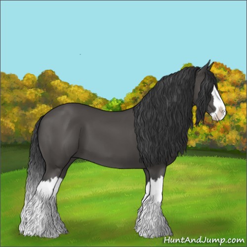 Horse Color:Black Splash