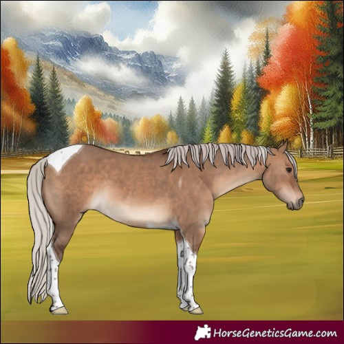 Horse Color:Silver Brown Dun Tobiano 