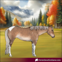 Horse Color:Silver Brown Dun Tobiano 