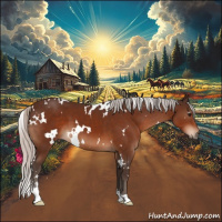 Horse Color:White Spotted Silver Bay Sabino