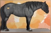 Horse Color:Blue Roan Sabino 