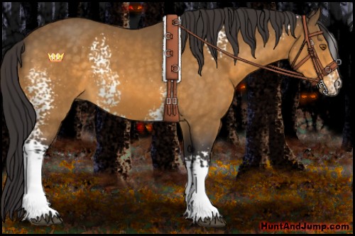 Horse Color:White Spotted Buckskin 