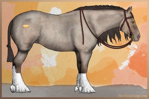 Horse Color:Classic Champagne Roan 