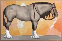 Horse Color:Classic Champagne Roan 