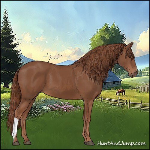 Horse Color:Chestnut 