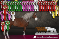 Horse Color:Gray Silver Bay Sabino Rabicano