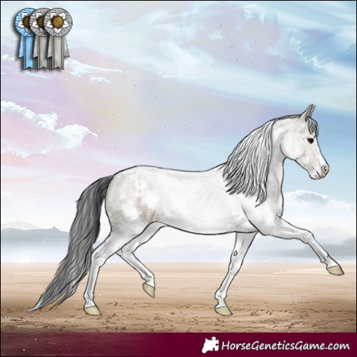 Horse Color:White Spotted Brown Dun Sabino 
