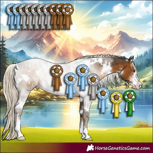 Horse Color:White Spotted Chocolate Palomino Sabino 