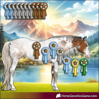 Horse Color:White Spotted Chocolate Palomino Sabino 