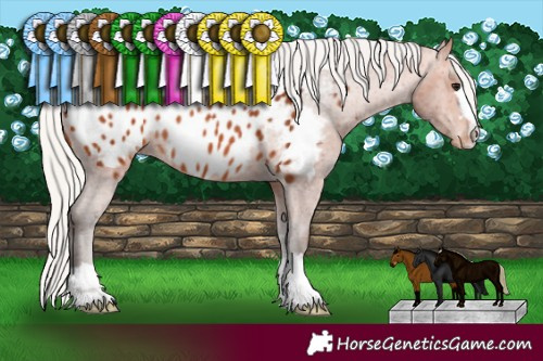 Horse Color:Silver Bay Near Leopard Rabicano 