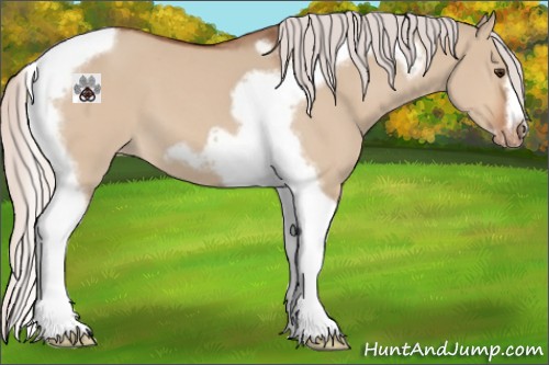 Horse Color:Silver Brown Dun Tobiano Frame Varnish