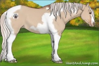 Horse Color:Silver Brown Dun Tobiano Frame Appaloosa