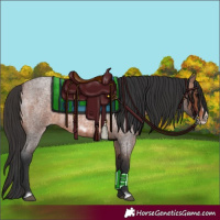 Horse Color:Brown Roan Frame