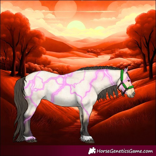 Horse Color:Buckskin Roan Dun Tobiano 