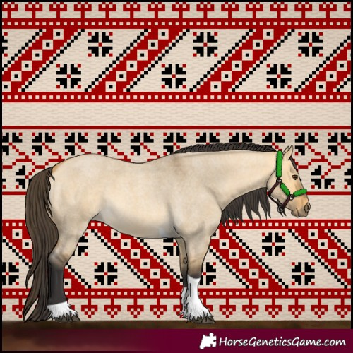 Horse Color:Buckskin Roan Dun Tobiano 