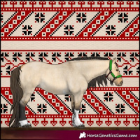 Horse Color:Buckskin Roan Dun Tobiano