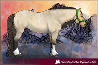 Horse Color:Buckskin Roan Dun Tobiano 