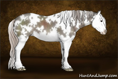 Horse Color:White Spotted Silver Black Splash 