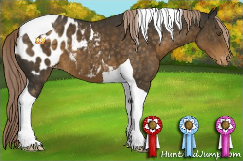 Horse Color:Chocolate Palomino Tobiano Blanket 