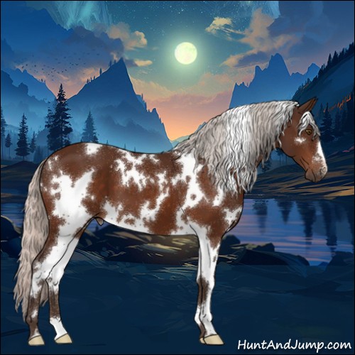Horse Color:White Spotted Silver Brown 