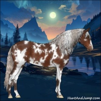 Horse Color:White Spotted Silver Brown 