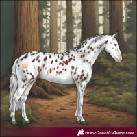Horse Color:Silver Brown Tobiano Near Leopard 