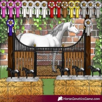 Horse Color:Gray White Spotted Brown Dun Sabino Appaloosa Brindle 