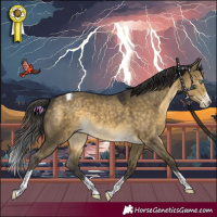 Horse Color:Buckskin Dun Mushroom Splash Tobiano