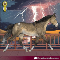 Horse Color:Buckskin Dun Mushroom Splash Tobiano