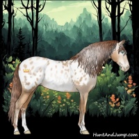 Horse Color:Gray Amber Champagne Pearl Sabino Appaloosa 
