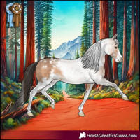 Horse Color:White Spotted Bay Dun Sabino 