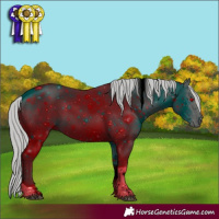 Horse Color:ERROR: UNKNOWN ANOMALY