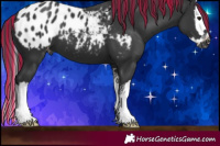 Horse Color:Painted Black Splash Appaloosa 