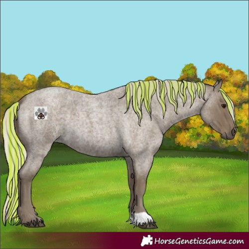 Horse Color:Painted Silver Smoky Blue Roan 