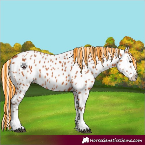Horse Color:Painted Silver Bay Appaloosa 