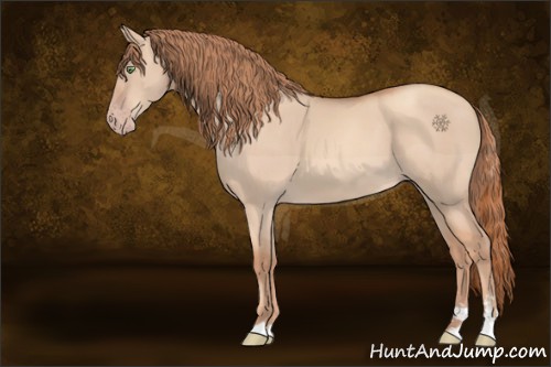 Horse Color:Gold Champagne Dun Sabino 