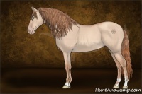 Horse Color:Gold Champagne Dun Sabino 